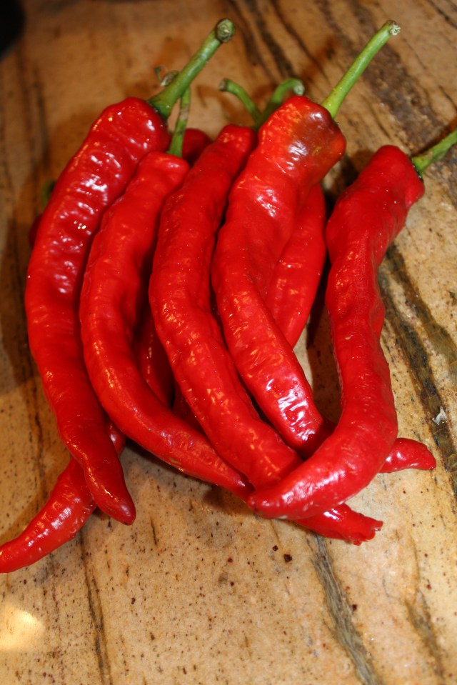 Red chili peppers
