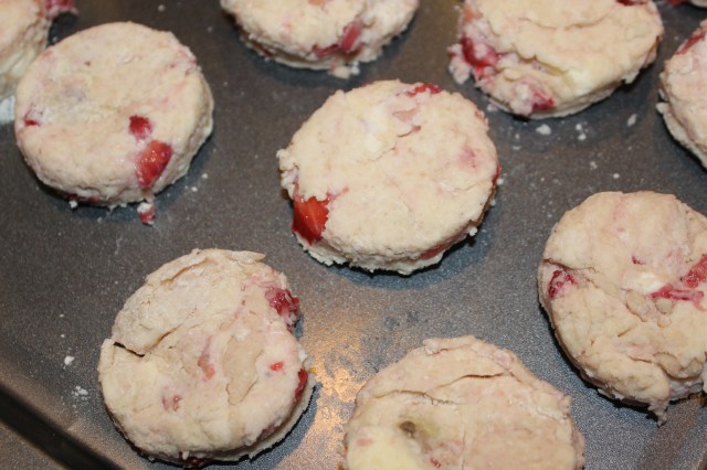 Place cut-out scones on cookie sheet.