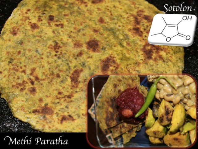 Flat bread with fenugreek leaves (methi paratha), flavored by my favorite furan, sotolan 
