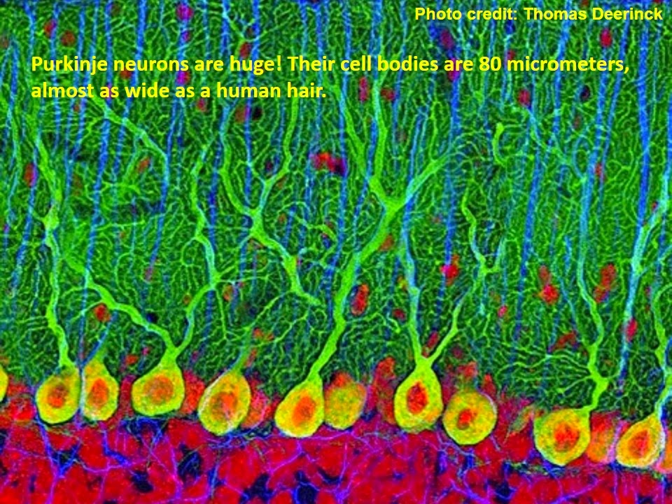 This image has an empty alt attribute; its file name is slide2.jpg