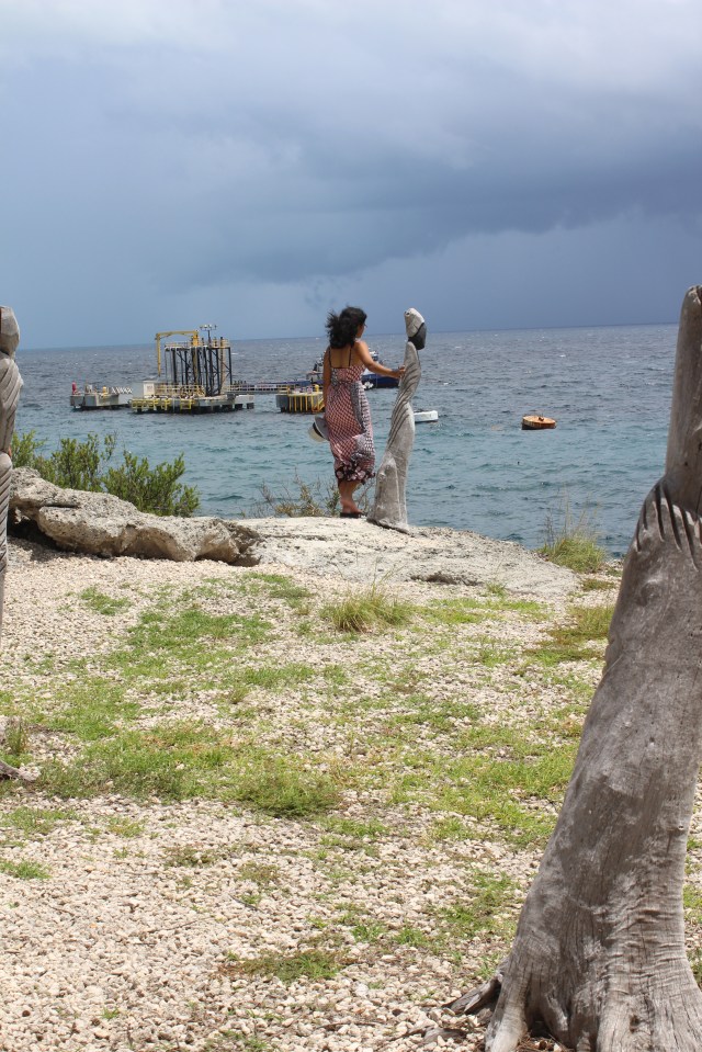 The Womyn Child. Hopefully contemplating a viable future.